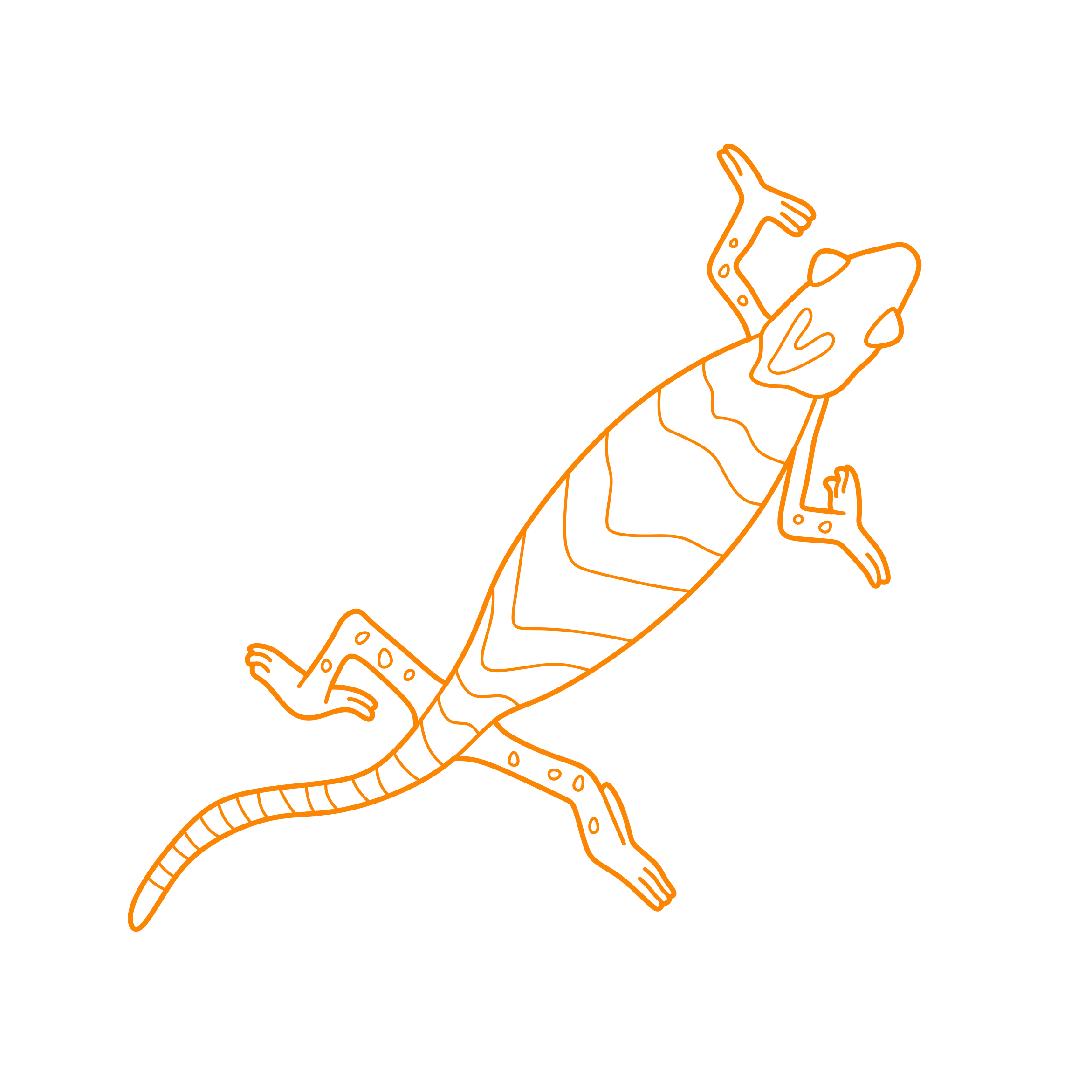 Animals Lizards Veiled Chameleon Sketch Svg Vector Free Vectors
